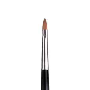 Premium Brush Oval 4
