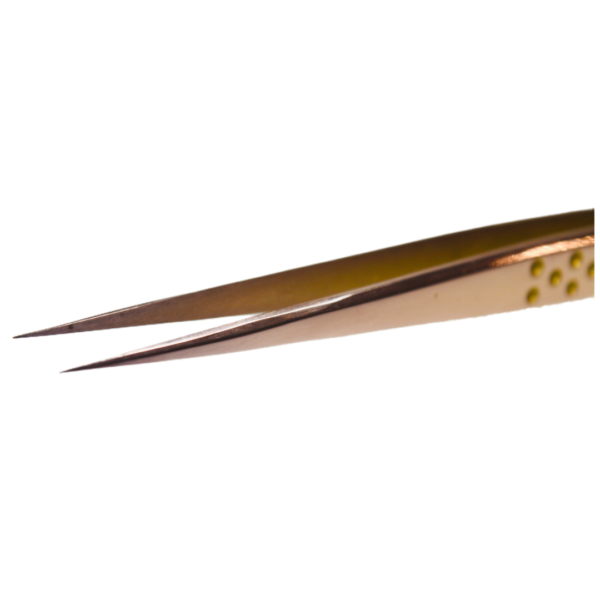 LashTag Straight Tweezer N°1 – Long