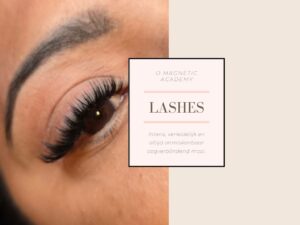 Lashes By D Magnetic Academy