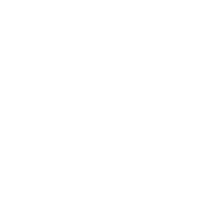 Logo DMA Wit